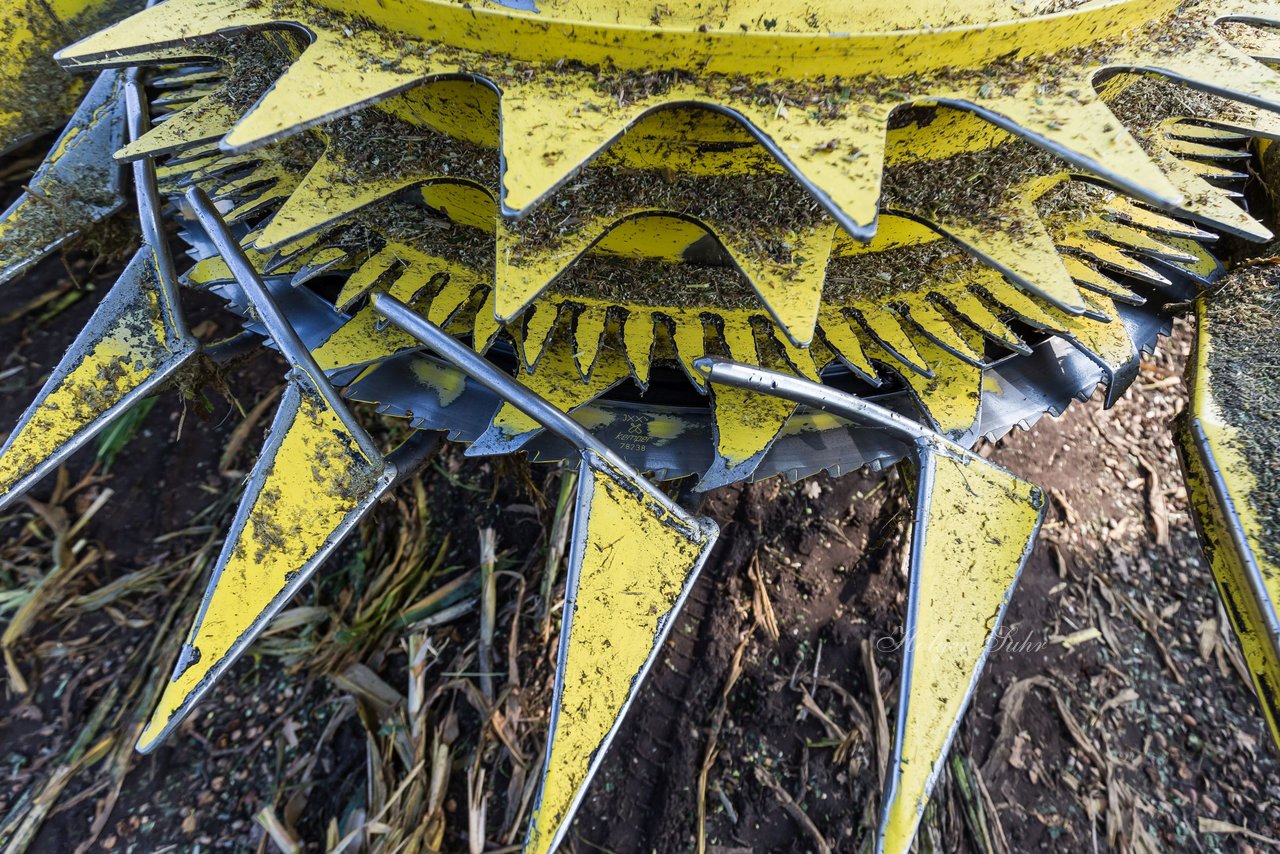 Bild 243 - Maisernte